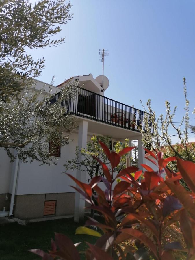 Apartment Magnolia Petrcane Exterior foto
